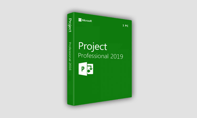 Ключи Microsoft Project Professional 2016, 2019